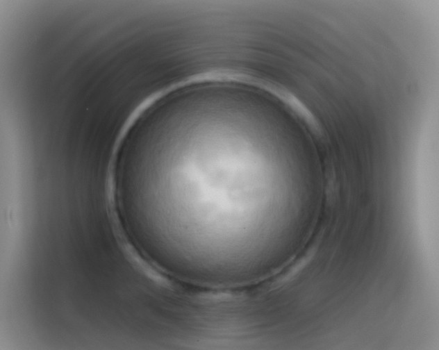 X0000114670896200910211148