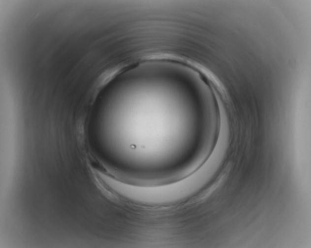 X0000114670897200910211148