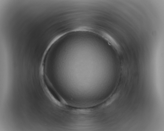 X0000114670900200910211148