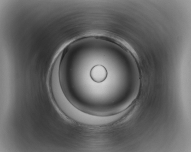 X0000114670901200910211148