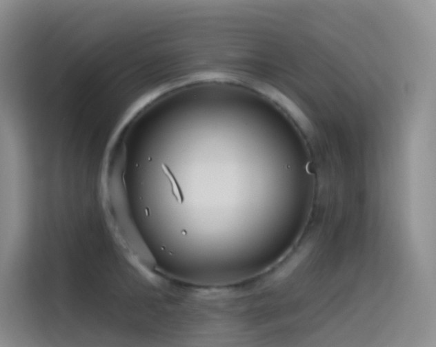 X0000114670902200910211148