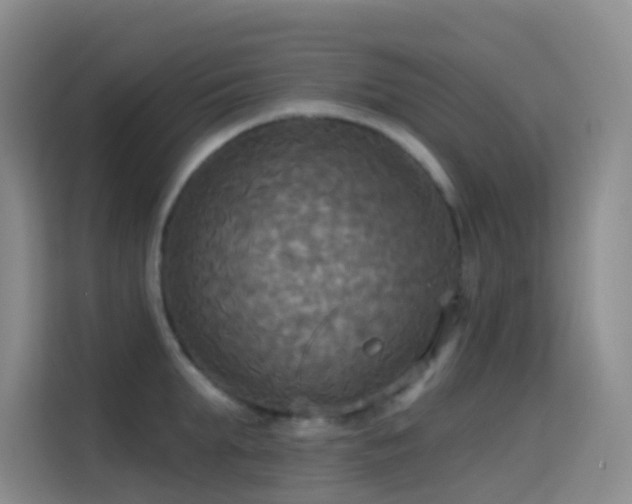 X0000114670903200910211148