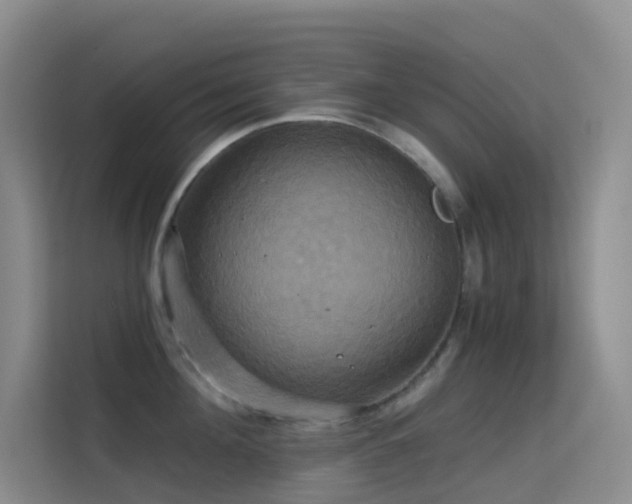 X0000114670908200910211148