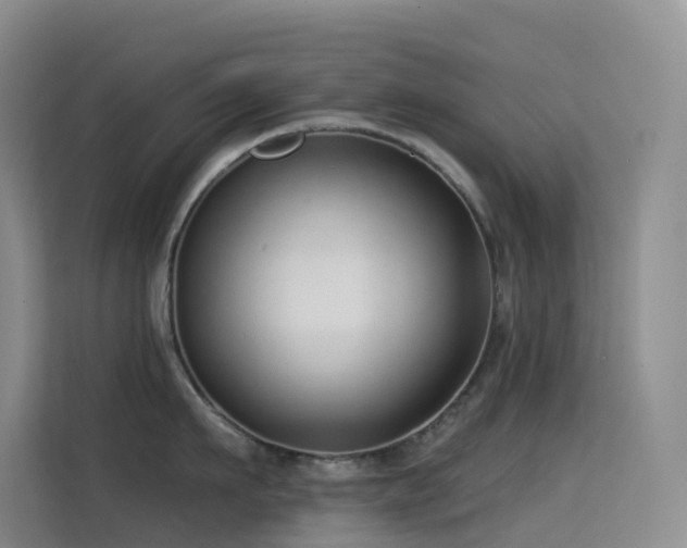 X0000114670911200910211148
