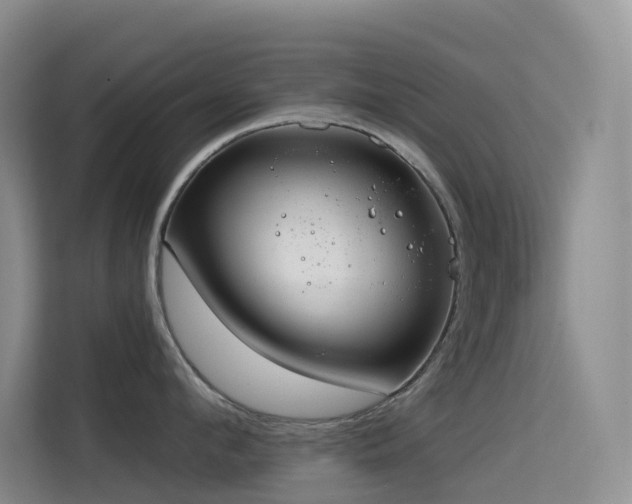 X0000114670912200910211148