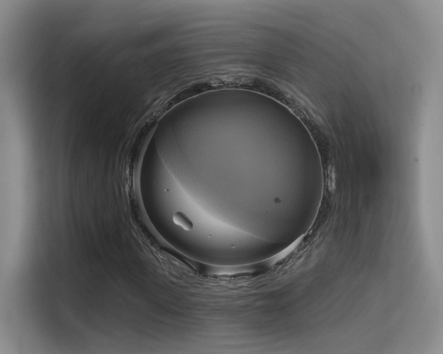 X0000114670915200910211147