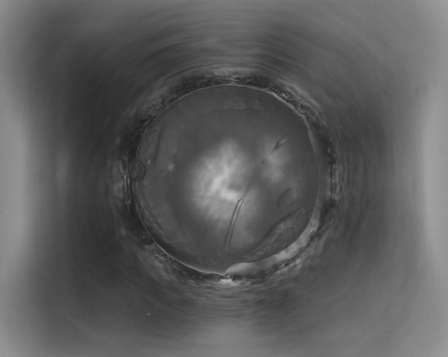 X0000114670917200910211147