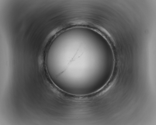X0000114670922200910211147