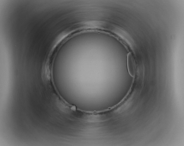 X0000114670925200910211147
