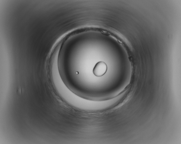 X0000114670926200910211147