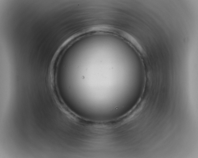 X0000114670931200910211147
