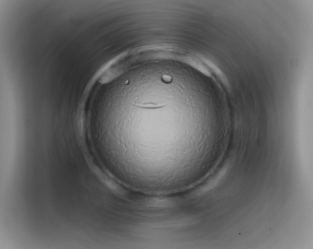 X0000114670933200910211147