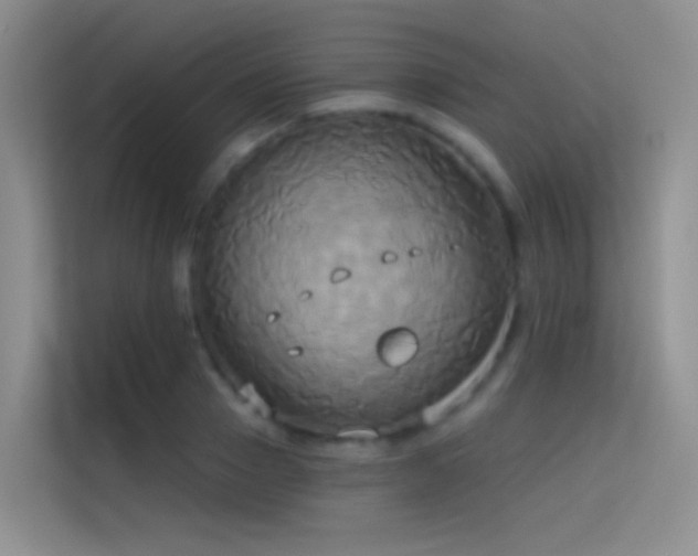 X0000114670937200910211147