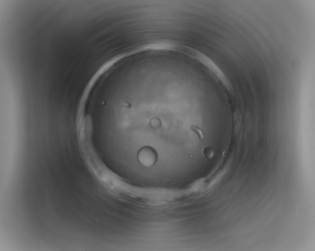 X0000114670939200910211147