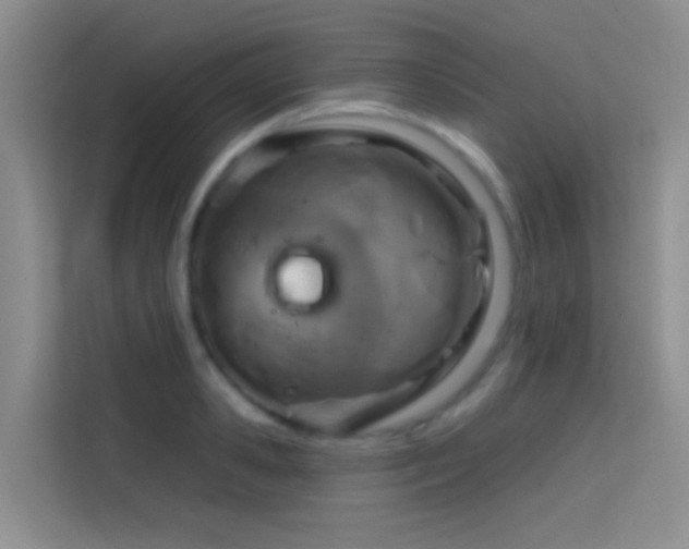 X0000114670941200910211147