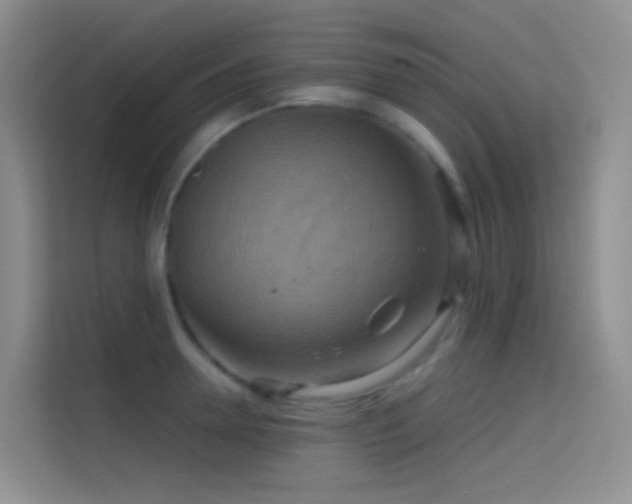 X0000114670946200910211147
