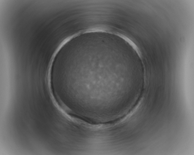 X0000114670949200910211147