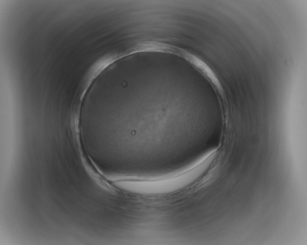 X0000114670954200910211147