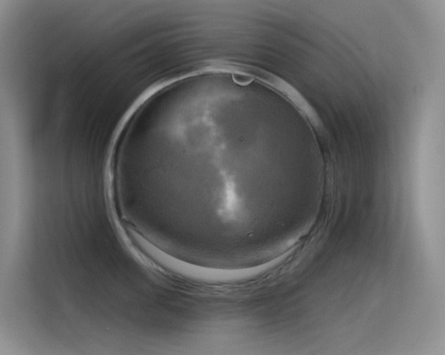 X0000114670955200910211147