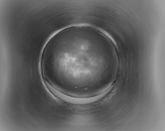 X0000114670959200910211148