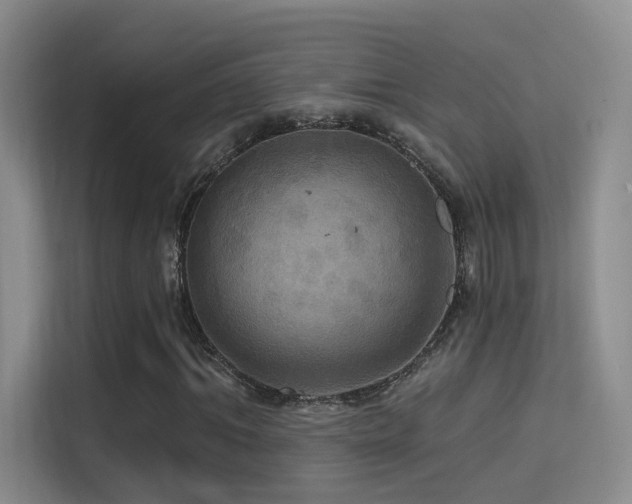 X0000114670964200910211147