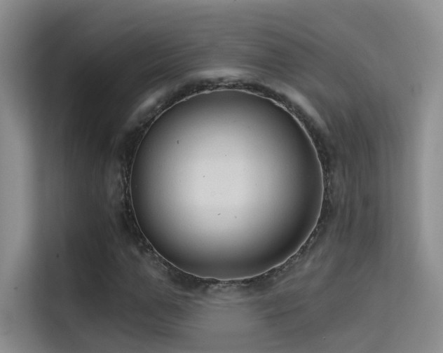 X0000114670967200910211147