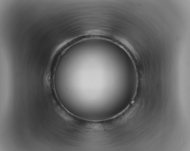 X0000114670971200910211147