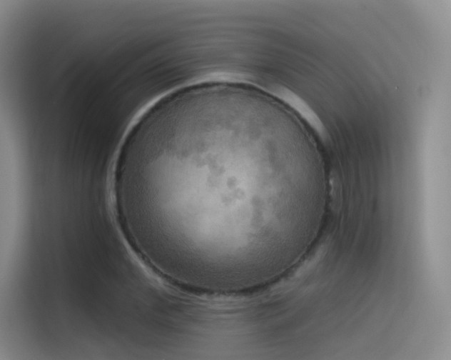X0000114670972200910211147