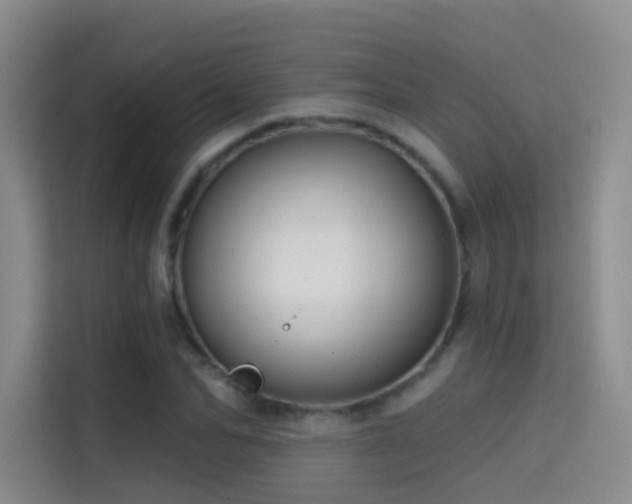 X0000114670974200910211147