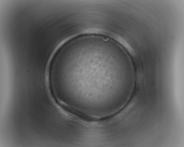 X0000114670976200910211147