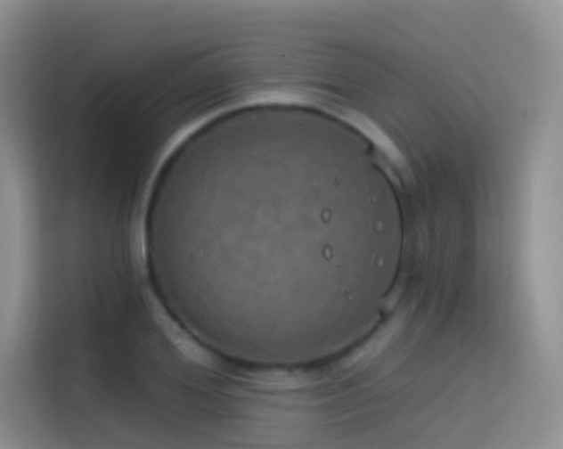 X0000114670980200910211147