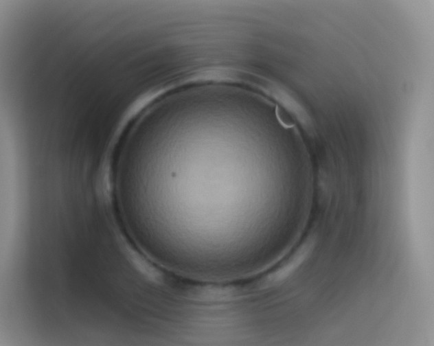 X0000114670981200910211147