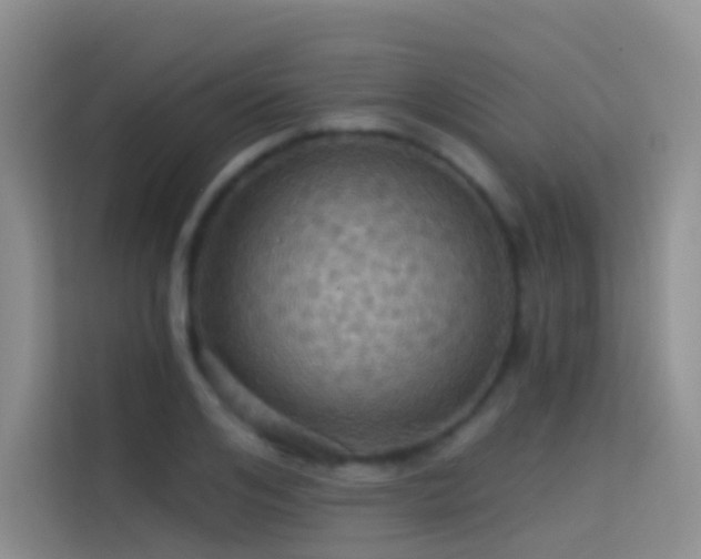 X0000114670984200910211147