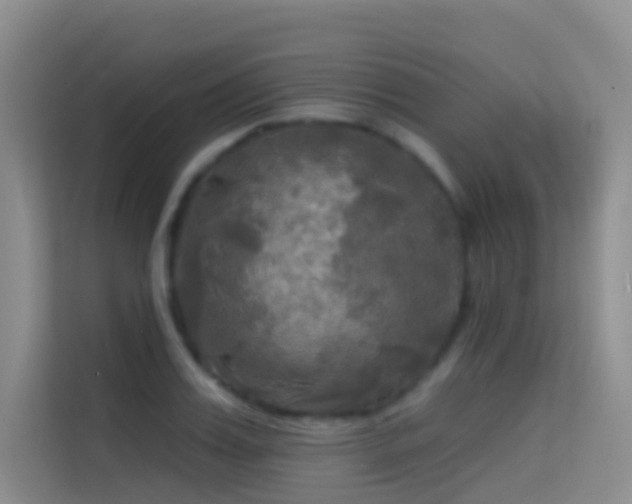 X0000114670987200910211147