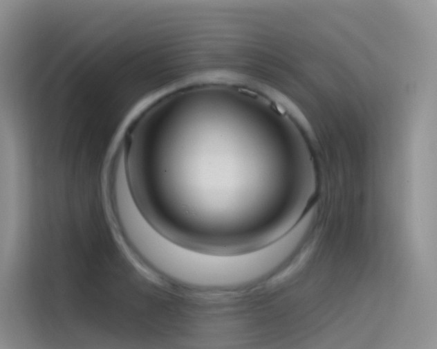 X0000114670989200910211147