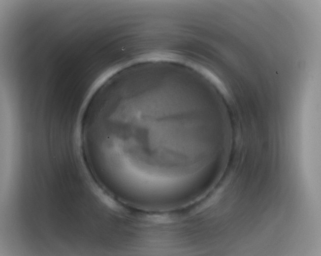 X0000114670990200910211147