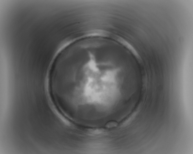 X0000114670991200910211147