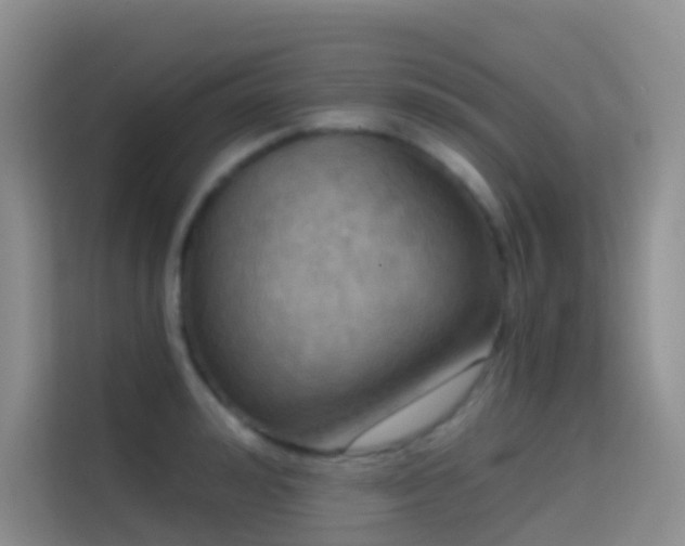 X0000114670992200910211147