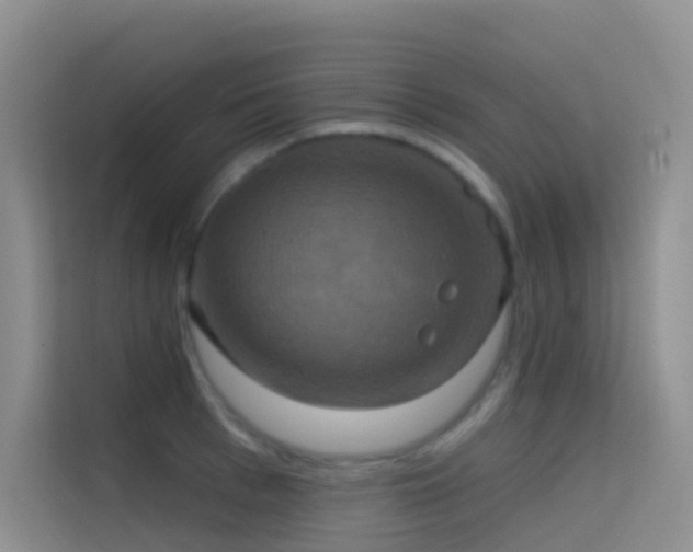 X0000114670993200910211147