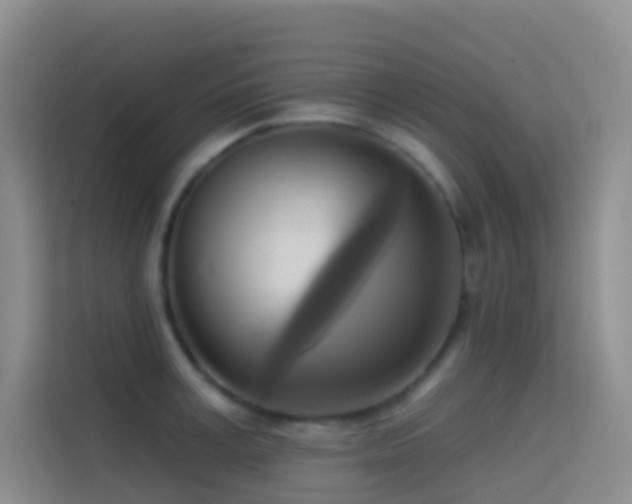 X0000114670995200910211147