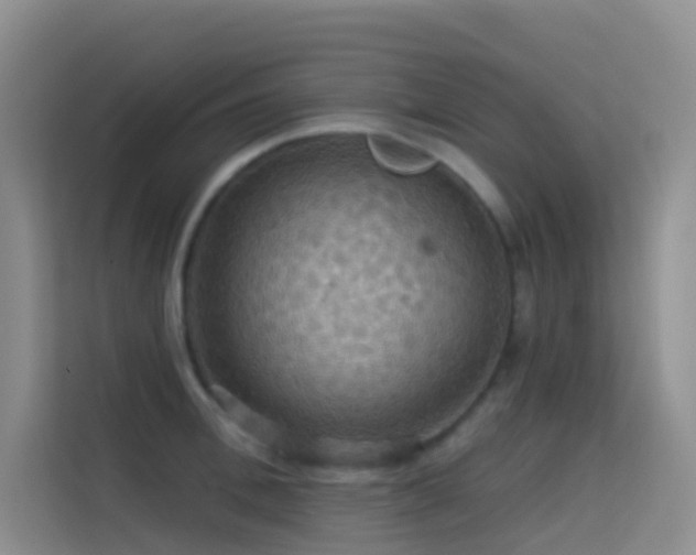 X0000114670996200910211146
