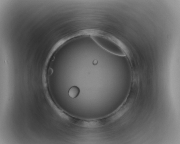 X0000114670997200910211146