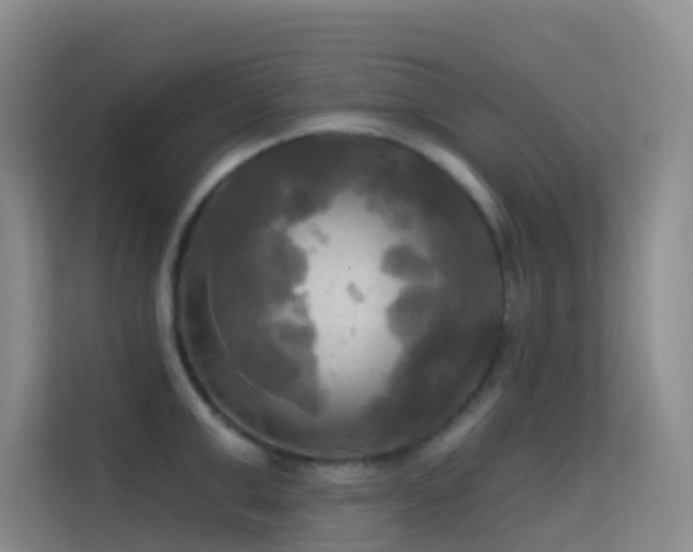 X0000114670999200910211146