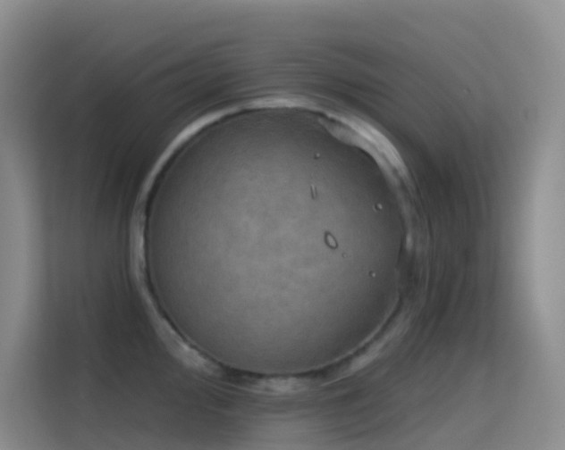X0000114671000200910211146