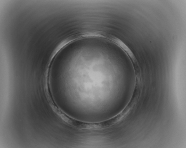 X0000114671002200910211146