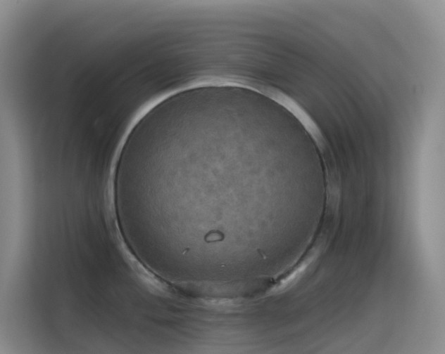 X0000114671004200910211146