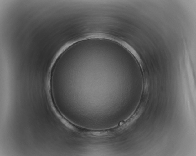 X0000114671005200910211146