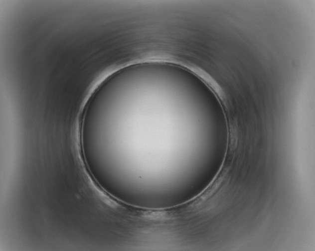 X0000114671006200910211146