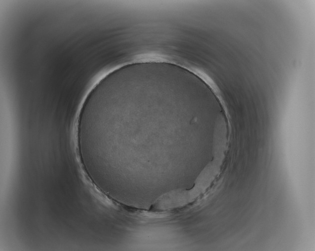 X0000114671008200910211146