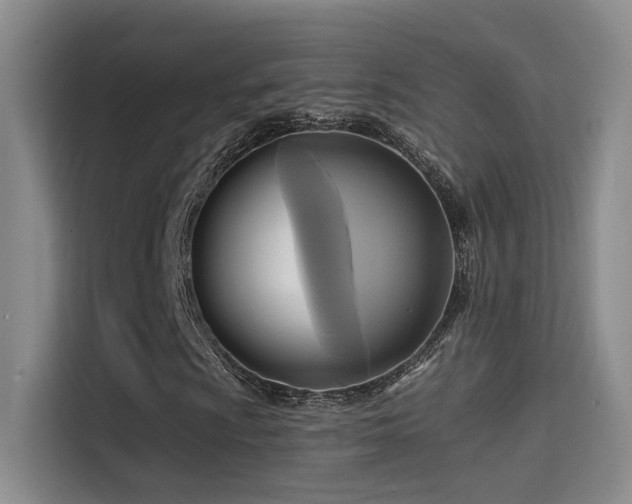 X0000114671009200910211146